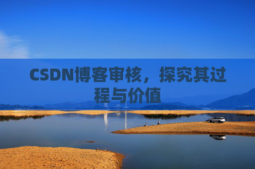 CSDN博客审核，探究其过程与价值